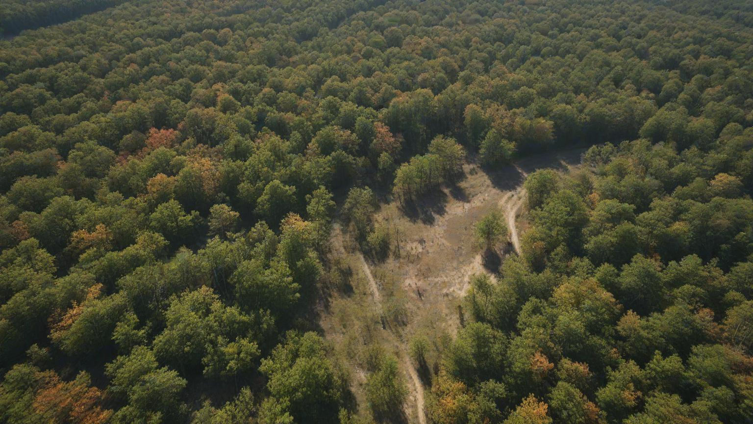 The Future of Deer Hunting: Using Drones for Scouting White-Tailed Deer in Arkansas